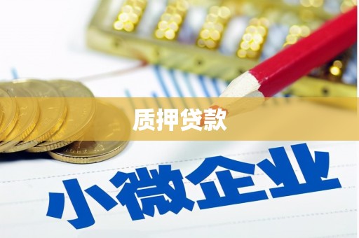 云岩质押贷款