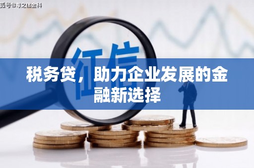 云岩税务贷，助力企业发展的金融新选择