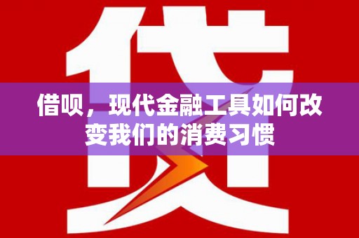 云岩借呗，现代金融工具如何改变我们的消费习惯
