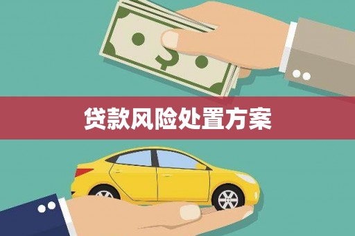 云岩贷款风险处置方案