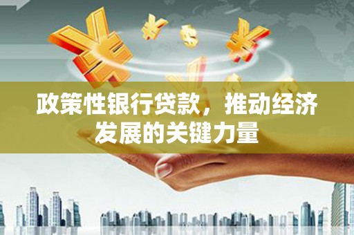 云岩政策性银行贷款，推动经济发展的关键力量