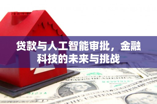 云岩贷款与人工智能审批，金融科技的未来与挑战