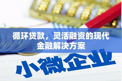 云岩循环贷款，灵活融资的现代金融解决方案