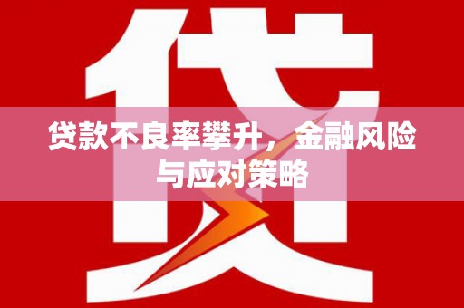 云岩贷款不良率攀升，金融风险与应对策略