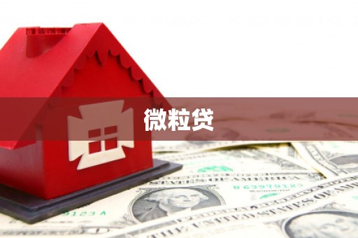 云岩微粒贷