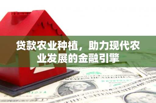 云岩贷款农业种植，助力现代农业发展的金融引擎