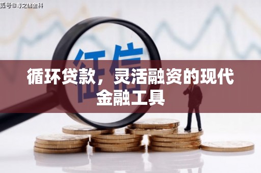 云岩循环贷款，灵活融资的现代金融工具