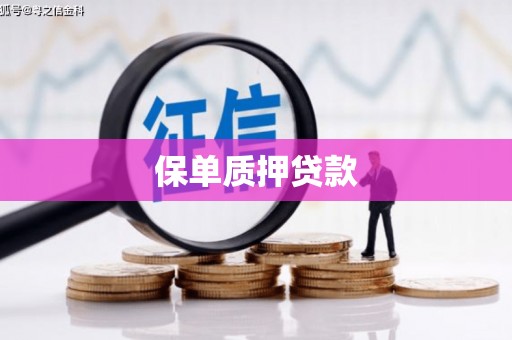 云岩保单质押贷款