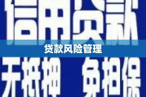 云岩贷款风险管理