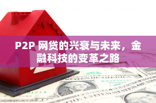 云岩P2P 网贷的兴衰与未来，金融科技的变革之路