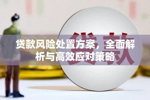云岩贷款风险处置方案，全面解析与高效应对策略