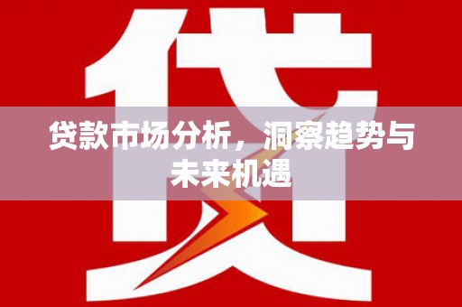 云岩贷款市场分析，洞察趋势与未来机遇