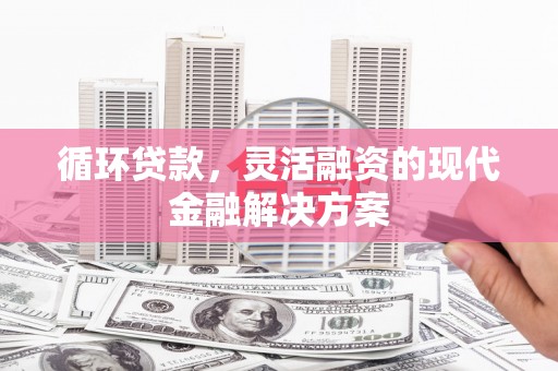 云岩循环贷款，灵活融资的现代金融解决方案