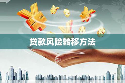 云岩贷款风险转移方法