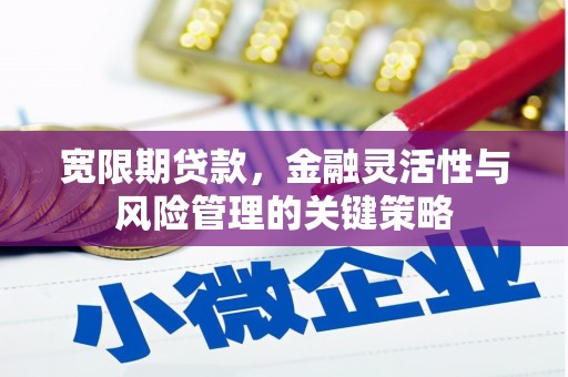 云岩宽限期贷款，金融灵活性与风险管理的关键策略