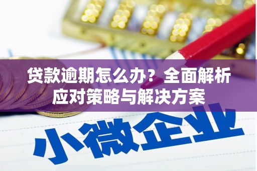 云岩贷款逾期怎么办？全面解析应对策略与解决方案