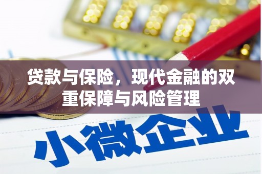 云岩贷款与保险，现代金融的双重保障与风险管理
