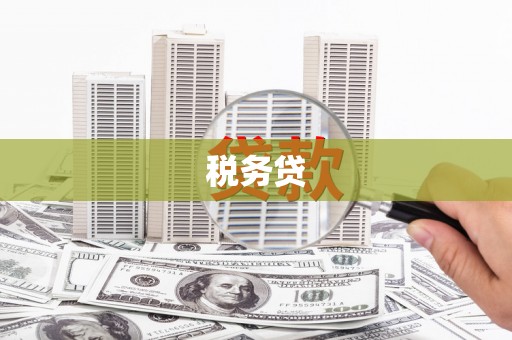 云岩税务贷