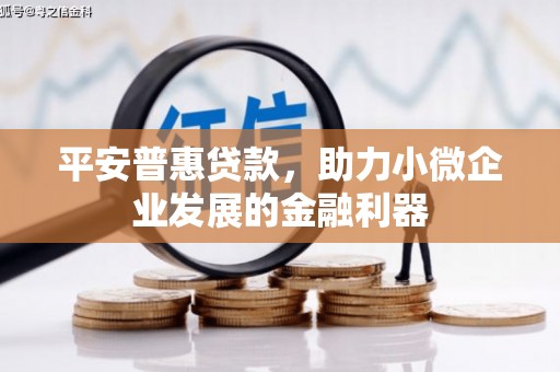 云岩平安普惠贷款，助力小微企业发展的金融利器