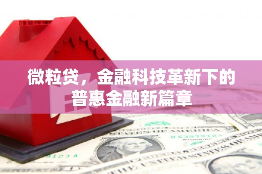 云岩微粒贷，金融科技革新下的普惠金融新篇章