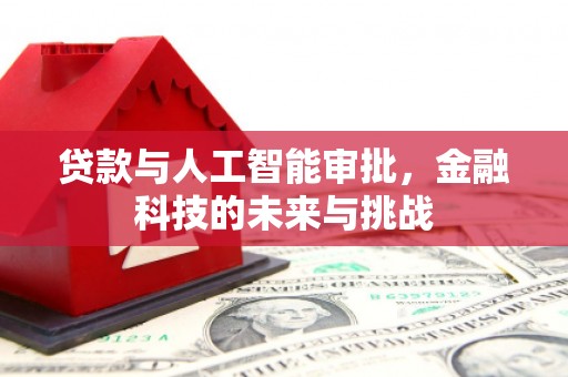 云岩贷款与人工智能审批，金融科技的未来与挑战