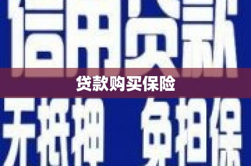 云岩贷款购买保险
