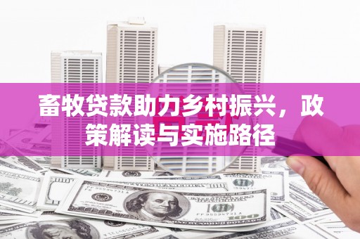 云岩畜牧贷款助力乡村振兴，政策解读与实施路径