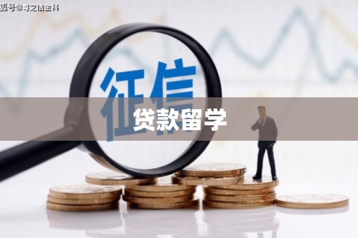 云岩贷款留学
