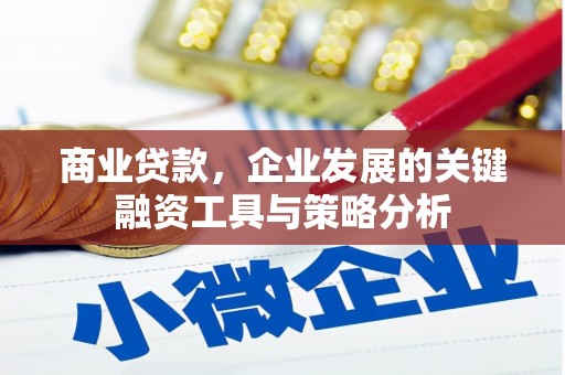 云岩商业贷款，企业发展的关键融资工具与策略分析