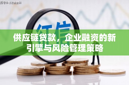 云岩供应链贷款，企业融资的新引擎与风险管理策略