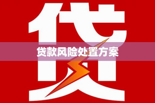 云岩贷款风险处置方案