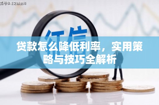 云岩贷款怎么降低利率，实用策略与技巧全解析