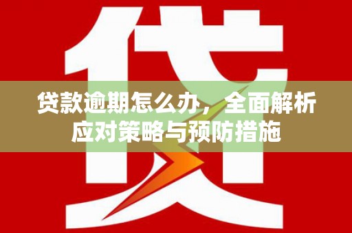 云岩贷款逾期怎么办，全面解析应对策略与预防措施