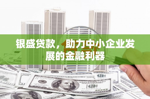 云岩银盛贷款，助力中小企业发展的金融利器
