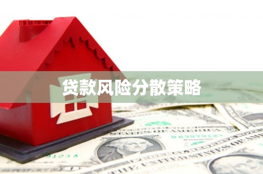 云岩贷款风险分散策略