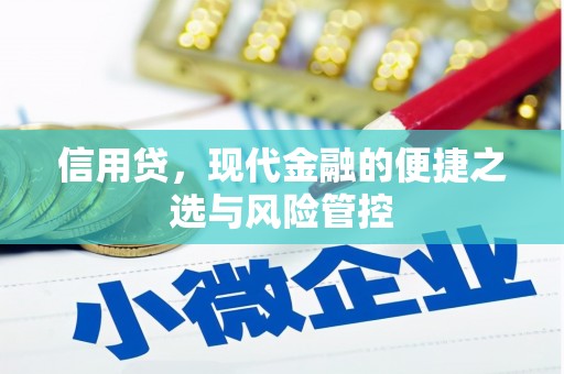 云岩信用贷，现代金融的便捷之选与风险管控