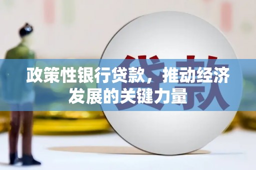 云岩政策性银行贷款，推动经济发展的关键力量