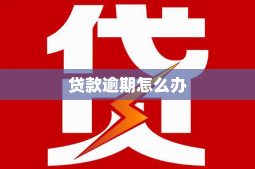 云岩贷款逾期怎么办