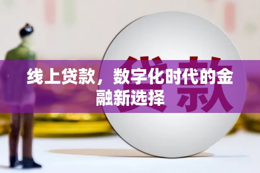 云岩线上贷款，数字化时代的金融新选择