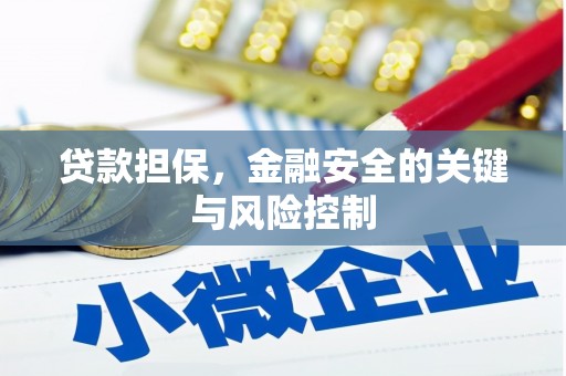 云岩贷款担保，金融安全的关键与风险控制