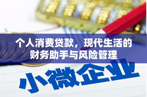 云岩个人消费贷款，现代生活的财务助手与风险管理