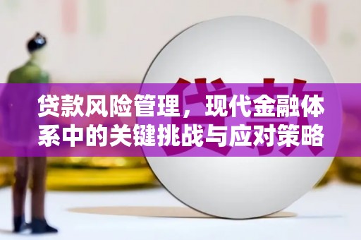 云岩贷款风险管理，现代金融体系中的关键挑战与应对策略