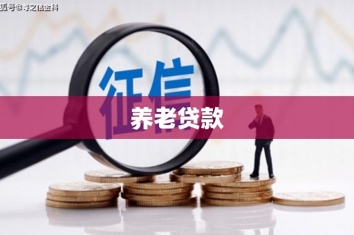 云岩养老贷款