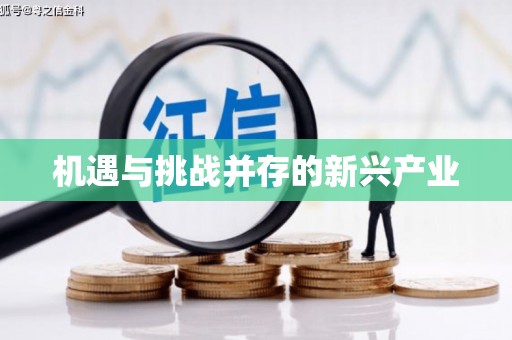 云岩机遇与挑战并存的新兴产业